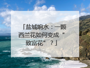 盐城响水：一颗西兰花如何变成“致富花”？