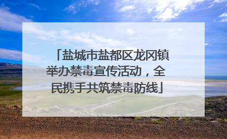 盐城市盐都区龙冈镇举办禁毒宣传活动，全民携手共筑禁毒防线