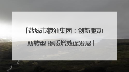 盐城市粮油集团：创新驱动助转型 提质增效促发展