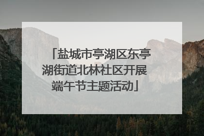 盐城市亭湖区东亭湖街道北林社区开展端午节主题活动