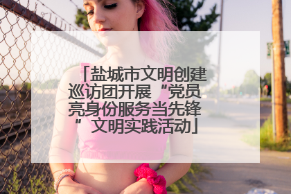 盐城市文明创建巡访团开展“党员亮身份服务当先锋”文明实践活动
