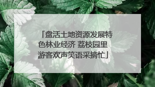 盘活土地资源发展特色林业经济 荔枝园里游客欢声笑语采摘忙