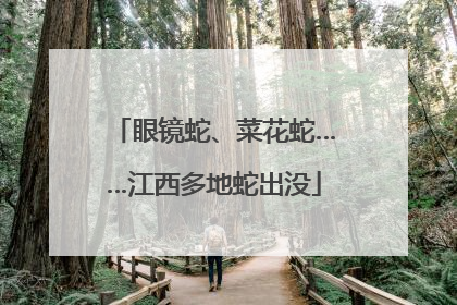 眼镜蛇、菜花蛇……江西多地蛇出没