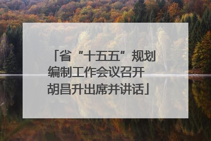 省“十五五”规划编制工作会议召开 胡昌升出席并讲话