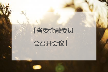 省委金融委员会召开会议
