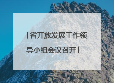 省开放发展工作领导小组会议召开