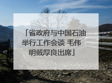 省政府与中国石油举行工作会谈 毛伟明戴厚良出席