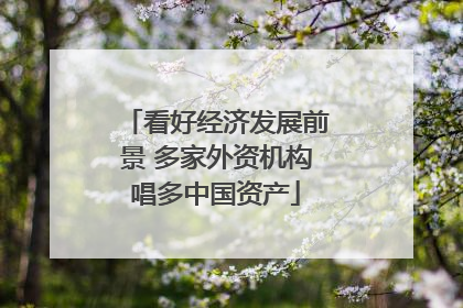 看好经济发展前景 多家外资机构唱多中国资产