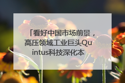 看好中国市场前景，高压领域工业巨头Quintus科技深化本土策略，构建全方位服务亚太区总部