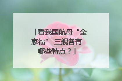 看我国航母“全家福” 三舰各有哪些特点？