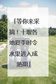 等你来采摘！十堰各地夏季时令水果进入成熟期