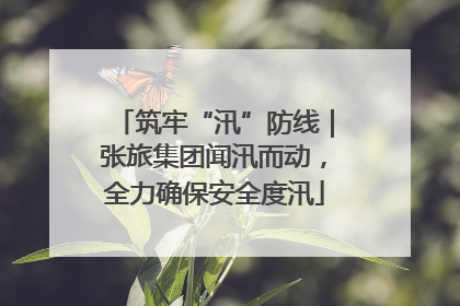 筑牢“汛”防线｜张旅集团闻汛而动，全力确保安全度汛