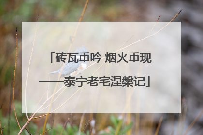 砖瓦重吟 烟火重现——泰宁老宅涅槃记