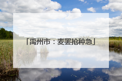 禹州市：麦罢抢种急