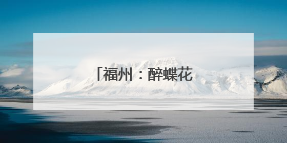 福州：醉蝶花盛开引游人