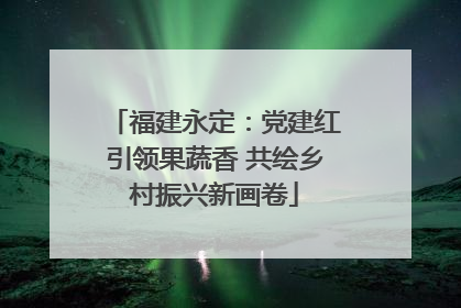 福建永定：党建红引领果蔬香 共绘乡村振兴新画卷