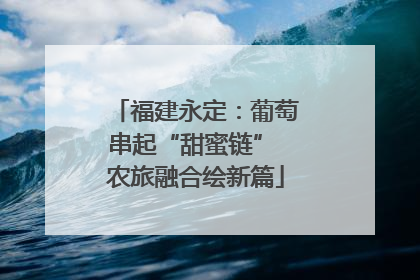 福建永定：葡萄串起“甜蜜链” 农旅融合绘新篇