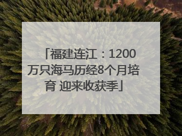 福建连江：1200万只海马历经8个月培育 迎来收获季