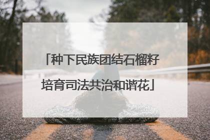 种下民族团结石榴籽 培育司法共治和谐花