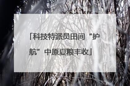 科技特派员田间“护航”中原夏粮丰收
