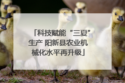 科技赋能“三夏”生产 阳新县农业机械化水平再升级
