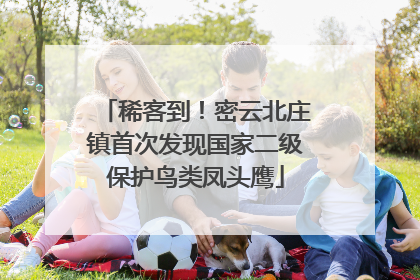 稀客到！密云北庄镇首次发现国家二级保护鸟类凤头鹰