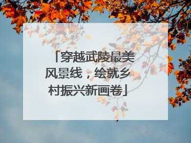 穿越武陵最美风景线，绘就乡村振兴新画卷
