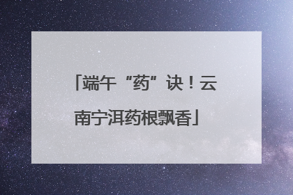 端午“药”诀！云南宁洱药根飘香