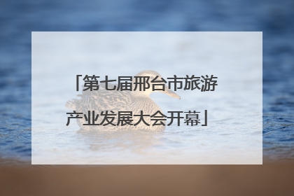 第七届邢台市旅游产业发展大会开幕