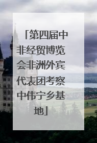第四届中非经贸博览会非洲外宾代表团考察中伟宁乡基地