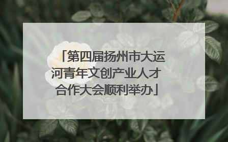 第四届扬州市大运河青年文创产业人才合作大会顺利举办