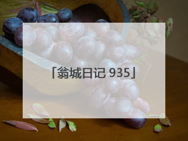 翁城日记 935