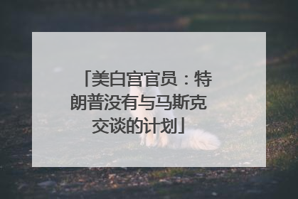 美白宫官员：特朗普没有与马斯克交谈的计划