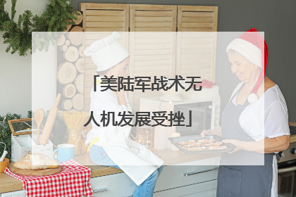 美陆军战术无人机发展受挫