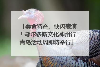 美食特产、快闪表演！鄂尔多斯文化神州行青岛活动周即将举行