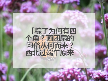 粽子为何有四个角？画团扇的习俗从何而来？西北过端午原来有这么多讲究