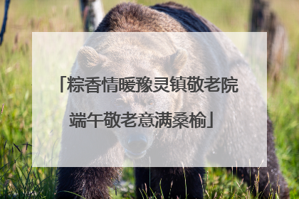 粽香情暖豫灵镇敬老院 端午敬老意满桑榆