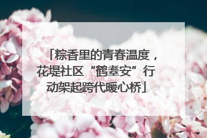 粽香里的青春温度，花堤社区“鹤耋安”行动架起跨代暖心桥
