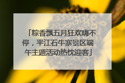 粽香飘五月狂欢嗨不停，平江石牛寨景区端午主题活动热忱迎客