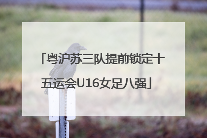 粤沪苏三队提前锁定十五运会U16女足八强