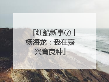 红船新事⑦丨杨海龙：我在嘉兴育良种
