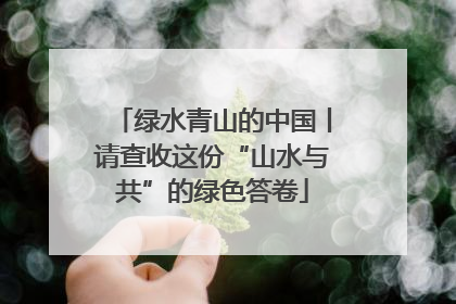 绿水青山的中国丨请查收这份“山水与共”的绿色答卷