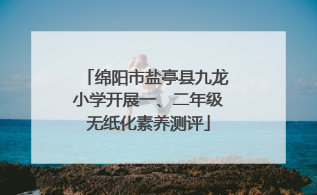 绵阳市盐亭县九龙小学开展一、二年级无纸化素养测评