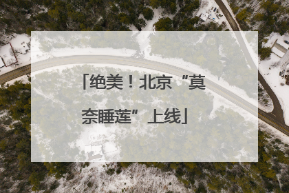 绝美！北京“莫奈睡莲”上线