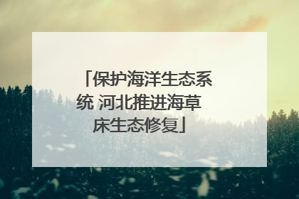保护海洋生态系统 河北推进海草床生态修复