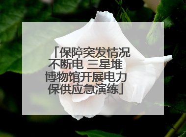 保障突发情况不断电 三星堆博物馆开展电力保供应急演练