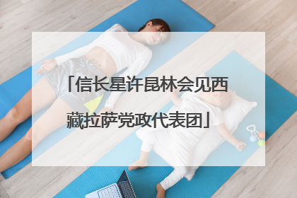信长星许昆林会见西藏拉萨党政代表团