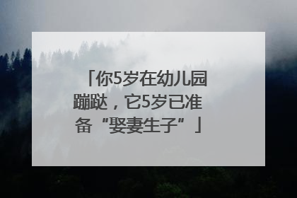 你5岁在幼儿园蹦跶，它5岁已准备“娶妻生子”