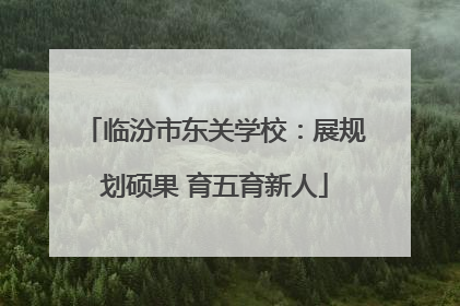 临汾市东关学校：展规划硕果 育五育新人
