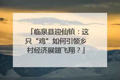 临泉县迎仙镇：这只“鸡”如何引领乡村经济展翅飞翔？